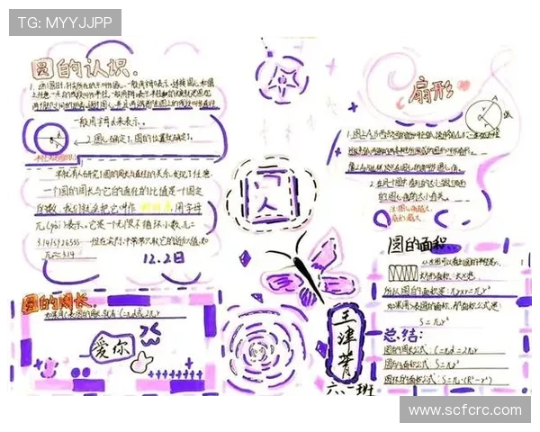 百科全说：解锁知识的无穷魅力，点亮智慧的人生旅程