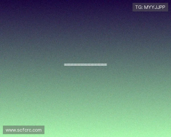 《美国好声音》第四季：星光璀璨，传奇诞生，不容错过的视听盛宴