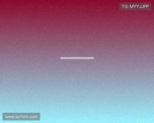 契卡：一段穿越时空的音乐恋曲，一场触动灵魂的视听盛宴