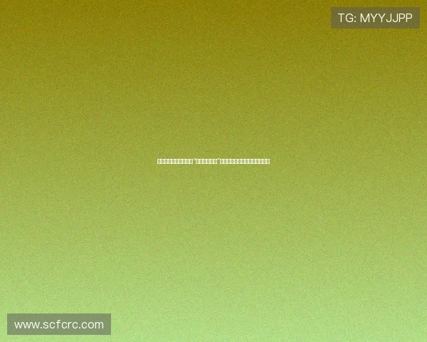 《宋飞传》：一部关于“什么都不发生”的喜剧，却深刻洞察了生活本质