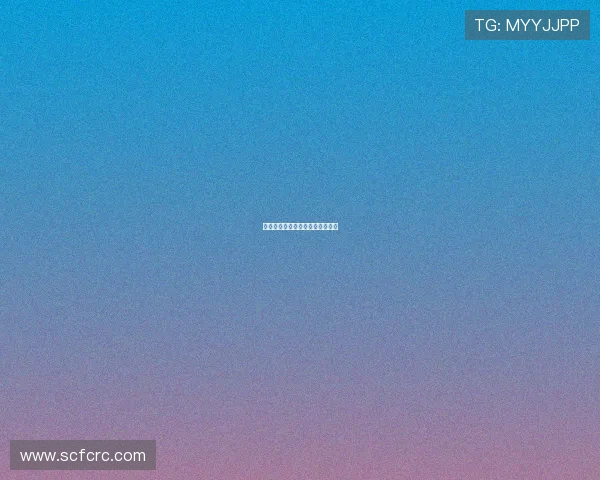 留夏：那些不曾远去的温柔与芬芳